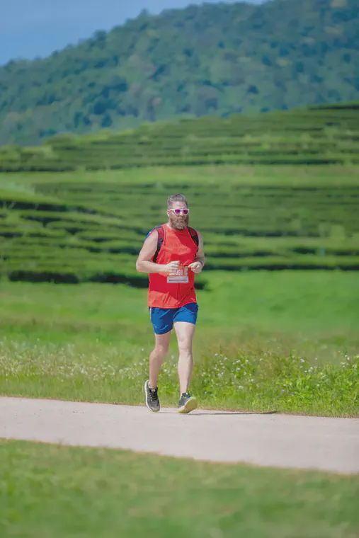 The terraced tea fields at Singha Park are within a few km of the finish line.