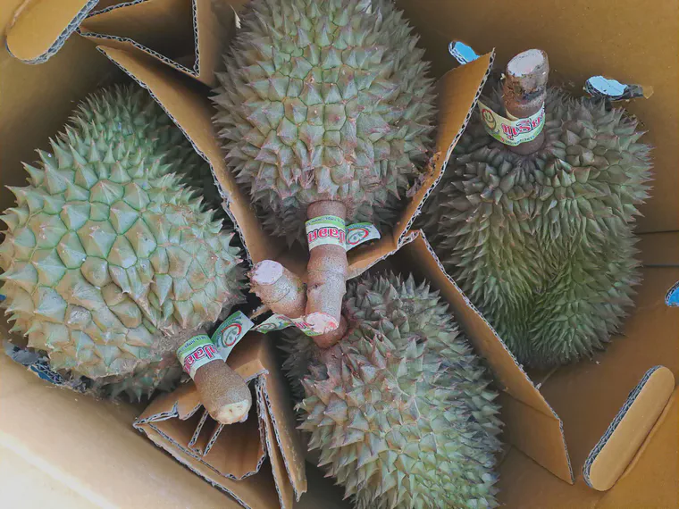 A box full of durians.