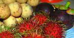 Rambutan: The Hedgehog of Fruits